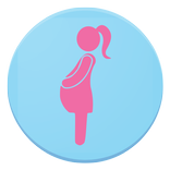 مراحل نمو الجنين