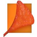 Trumpet Tv