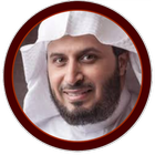 Saad El Ghamidi Hors connexion(offline)1 иконка