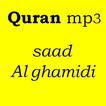 The Holy Quran mp3 (Voice Saad Alghamidi) no ads