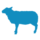 ذبيحتك في بيتك APK