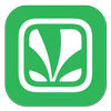 Saavn