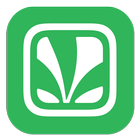 Saavn 图标