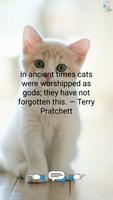 Greatest Quotes About Cats 截图 3