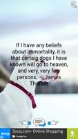 Quotes About Dogs Cartaz