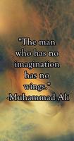 Imagination Quotes & Sayings imagem de tela 3