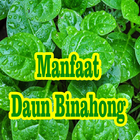 Manfaat Daun Binahong иконка