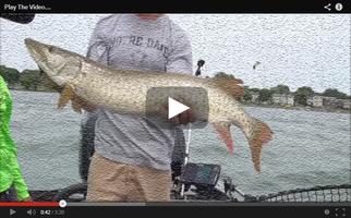 FISHING VIDEO CHANNEL imagem de tela 1