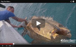 FISHING VIDEO CHANNEL 스크린샷 2