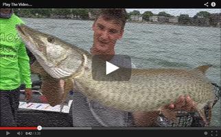 3 Schermata FISHING VIDEO CHANNEL