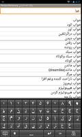 English Persian Dictionary پوسٹر