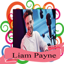 Liam Payne - First Time APK