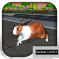 Bunny Simulator