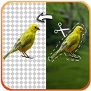 Cut Copy Paste Photo APK