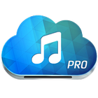 Paradise Pro-Music Download icône