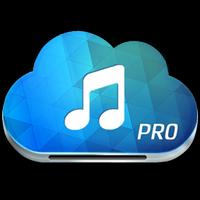 Paradise Pro-Music Download capture d'écran 1