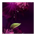 Priv Wallpapers