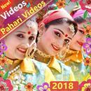 Pahari Videos 🎬 APK