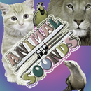 Kids games : Animal Sounds APK