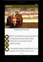 Sagrada Familia ảnh chụp màn hình 3
