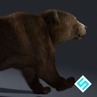 Real Bear Simulator icône