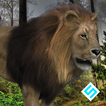 King Lion Simulator