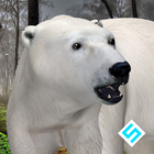 Polar Bear Simulator ไอคอน