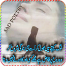 Sad Poetry On Photos APK