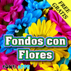 Fondos con Flores APK