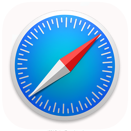 Safari Browser fast & private