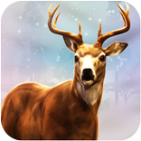 Safari Jungle Hunter 2019