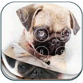 Pug Lock Screen