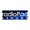 radioPad SEPURA