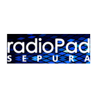 radioPad SEPURA 아이콘