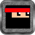 Pixel Ninja
