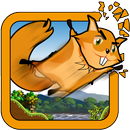 Squirrel Gliding APK