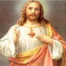 Soft Prayer Music Collections APK