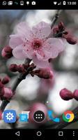 Sakura ağacı lwp Ekran Görüntüsü 1