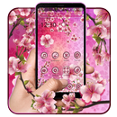 Pink Sakura Flower Theme APK