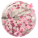 Sakura tapety na żywo aplikacja