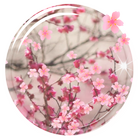 Sakura Live-Hintergrund Zeichen