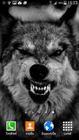 Wolf Wallpaper Ekran Görüntüsü 1