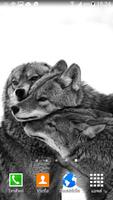Wolf Wallpaper Ekran Görüntüsü 3