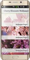 Cherry Blossom Wallpaper poster
