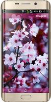 Cherry Blossom Wallpaper screenshot 2