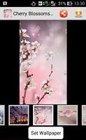 Cherry Blossom Wallpaper screenshot 3