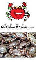 Axia Seafood poster