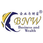 Business And Wealth icône