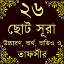 Small 26 Surah (২৬টি ছোট সূরা) APK