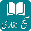 Sahih Al Bukhari Urdu Hadith